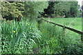 Marshy footpath towards The Green