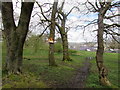 Warning sign on a tree in Bargoed Park, Bargoed