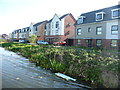 Canalside homes on Razorbill Way, Harden