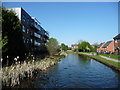 New housing along the Wyrley & Essington Canal