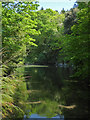 Bonython Estate Gardens - Quarry Lake