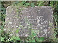 Tombstone, Abney Park Cemetery, Stoke Newington High Street N16