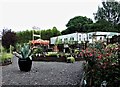 Staplecross Shrub Centre and Nursery off the B2165