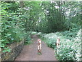 Footpath towards Lockwood