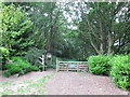 Footpath entering Dean Wood