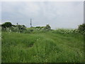 The beginning of a footpath to Elmton at Frithwood