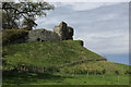 Ruins of Skelbo Castle (1)