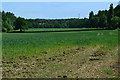 Field beside Bricky Lake Lane