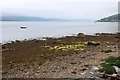 NN0800 : Shoreline of Loch Fyne by Alan Reid