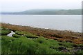 Loch Fyne foreshore