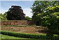 View of a walled garden by the roadside in the grounds of Eltham Palace