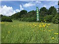 Howe Park on orienteering day