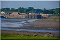 Sedgemoor : River Parrett