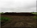 Manure heap in a field, Smallburn