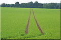 SU4033 : Tractor tracks between new crops by David Martin