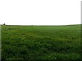 Grass field west of Beacon Hill