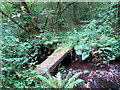 Pompren Nant y Gro / Nant y Gro Footbridge