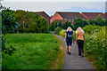 Wembdon : Footpath