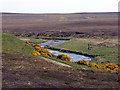 ND0340 : The Thurso River at Dalnawillan by John Lucas