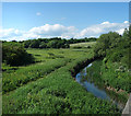 River Wey at Radipole