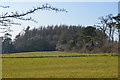 Woodland, Hingston Down