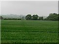 Arable field beside Abshields Wood