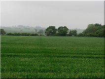 NZ1490 : Arable field beside Abshields Wood by Graham Robson