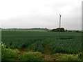 Arable field east of Abshiel