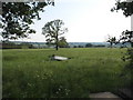 Field by the Ridgeway, Enfield