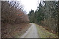 Permissive path in West Wood