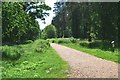 Track into Busketts Lawn Inclosure