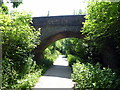 Teinicks Footbridge, Cuckoo Trail