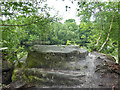 Ardingly Sandstone outcrop, Lake Wood