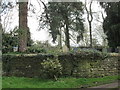 Churchyard outside St. Peter