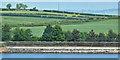 Ballysallagh reservoir near Craigantlet - June 2018(2)