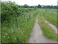 Track beside a field