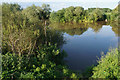 The River Severn near Meadowlands