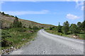 Carrick Forest Drive to Stinchar Bridge