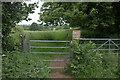 Gate on to Greensands Way from Sands Lane