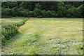NX0875 : Freshly Cut Field, Glenapp by Billy McCrorie