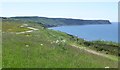 Looking south along the England Coast Path