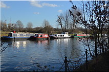TQ3586 : Narrowboats, River Lea by N Chadwick