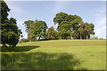 NN7800 : Dunblane New Golf Club by Richard Webb