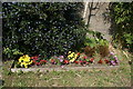 View of a flowerbed in bloom on Blackhorse Lane