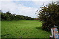SK4376 : Field under Hawthorne Hill Farm by Ian S
