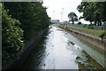 View down the River Lea from the footbridge in the Walthamstow Wetlands