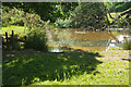 Field pond, south-east of Alderley Edge