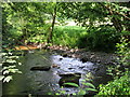 Afon Ceiriog at Pont-Faen