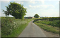 SS4311 : Lane to Little Ladford by Derek Harper