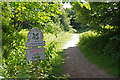 The National Trust - Alderley Edge